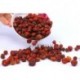 Wild Rose Hip ,Chinese herbal / flower tea,tisane,Caffeine-free,fruit tea,100% natural,rich of Vitamin C, H24