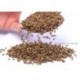 Cassia Seed,Semen Cassiae,Chinese herbal / flower tea,tisane,Caffeine-free,fruit tea,JueMingZi,100% natural, ,H28