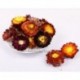 Bracteantha bracteata,Good for relax,Chinese herbal / flower tea,tisane,Caffeine-free,fruit tea,100% natural,H31