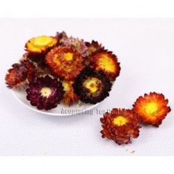 Bracteantha bracteata,Good for relax,Chinese herbal / flower tea,tisane,Caffeine-free,fruit tea,100% natural,H31
