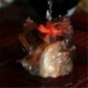 Allochroic Mascot,Yellow Lucky Dragon,Fengshui,Best Gifts,Novel present, arts&Crafts,Ornament will change color, tea pet,