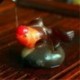 Newfangled present,,Allochroic Mascot, Goldfisht, Feng Shui, tea pet, Best Gifts, Fish will change color,