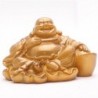 Allochroic Mascot, Golden Buddha, Ornament, tea pet,Fengshui, Best Gifts,Novel present, will change color