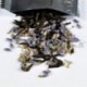 Lavender Black Tea,Hongcha,Natural herbal tea,Premium Quality