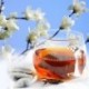 Michelia alba Black Teabag,Hongcha,Natural herbal tea bag,