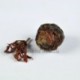 Michelia alba White Tea,Organic 2006 aged White Peony,100% natural Chinese Herbal,Handmade Anti-age tea