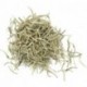 2010 Aged Silver Needle, Anti-old white Tea, Free Shipping