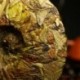 2007 Wild Big Leaf White Tea,300g Old White Shou Mei,Famous China Anti-age tea,Fuding Bai Cha,100% Natural Health Food,CBJ28