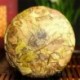 2004 year Big Leaf White Peony,300g Aged Old White Tea,Famous China Anti-age tea,Fuding Bai Cha,100% Natural Health Food,CBJ24