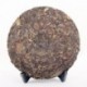Old White Peony, 2008 Year Anti-age White Tea, Aged Baimudan, Famous Chinese tea, reduce sugar blood Food, Promotion,CBJ04
