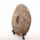 Old White Peony, 2008 Year Anti-age White Tea, Aged Baimudan, Famous Chinese tea, reduce sugar blood Food, Promotion,CBJ04