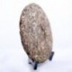 Promotion! 2014 Spring Anti-age White Tea, 357g Wild White Peony, Baimudan,Famous Chinese tea, reduce sugar blood Food, CBJ03