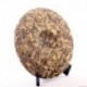Royal Grade White Peony, 357g Anti-age White Tea, Organic Gongmei, Famous Chinese tea, reduce Cholesterol Food, CBJ05