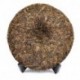 2009 Yunnan Elephant Puerh Tea,Chinese Pu'er,357g Raw Puerh Tea,Pu-er Cha,gifts