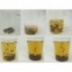 Premium Black BiLuoChun Tea, Tender Tea Bud, Black Snail Tea, Pi LoChun,Dianhong,Free Shipping