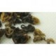 Black BiLuoChun Tea, Tender Tea Bud, Black Snail Tea, Pi LoChun,Dianhong, ,Free Shipping