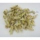 White Tea Bud,Yun Nan Old Tree Anti-old Tea,Free Shipping