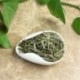 Premium quality Anji White Tea, Anji Bai Cha, Tea