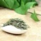 Good quality Anji White Tea, Anji Bai Cha, Tea