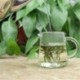 Good quality Anji White Tea, Anji Bai Cha, Tea