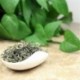 Lushan Fog Tea,Famous Chinese Tea,2017 Spring Green Tea