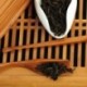 Beidou,Top Quality Dahong Pao Tea, Low-Fire Wuyi Oolong Tea,Wuyi Wu-long Tea