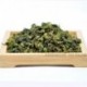 Huangjinui Tieguanyin tea,Chinese Anxi Tieguanyin tea,Natural Organic Health,