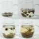 Jasmine Pearl Tea, Fragrance Green Tea,Jasmine Tea,100% Natural