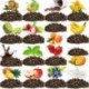 On Sale! 50 Kinds Flavor Pu er, Pu'erh tea, Mini Yunnan Puer tea ,Chinese tea, With Gift Bag, Free Shipping