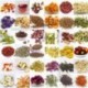 36 kinds Chinese Herbal tea, Flower tea, fruit tea, tisane,100% natural,good for beauty,slimming,Anti-age,caffeine-free,H100
