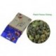 10 Kinds Flavours Tea, including Puerh,Black,Green,White tea, Oolong, Puer, Dahongpao, Tieguanyin, Free Shipping