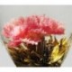 20 kinds Blooming Flower Tea, Art Tea,Blossom Tea,natural herbal for slimming, promotion,Free Shipping