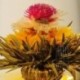 20 kinds Blooming Flower Tea, Art Tea,Blossom Tea,natural herbal for slimming, promotion,Free Shipping
