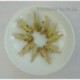 Special for Denys, 2*250g Bailin Gongfu+3*PB38 puer+250g White Tea Bud,Yun Nan Old Tree Anti-old Tea,Free Shipping